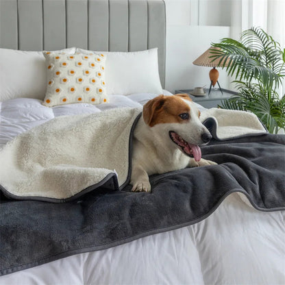 Love Blanket